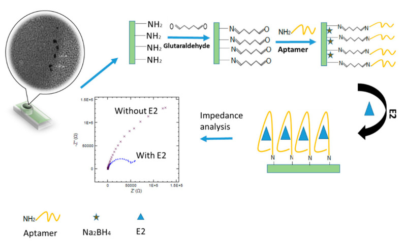 Figure 12