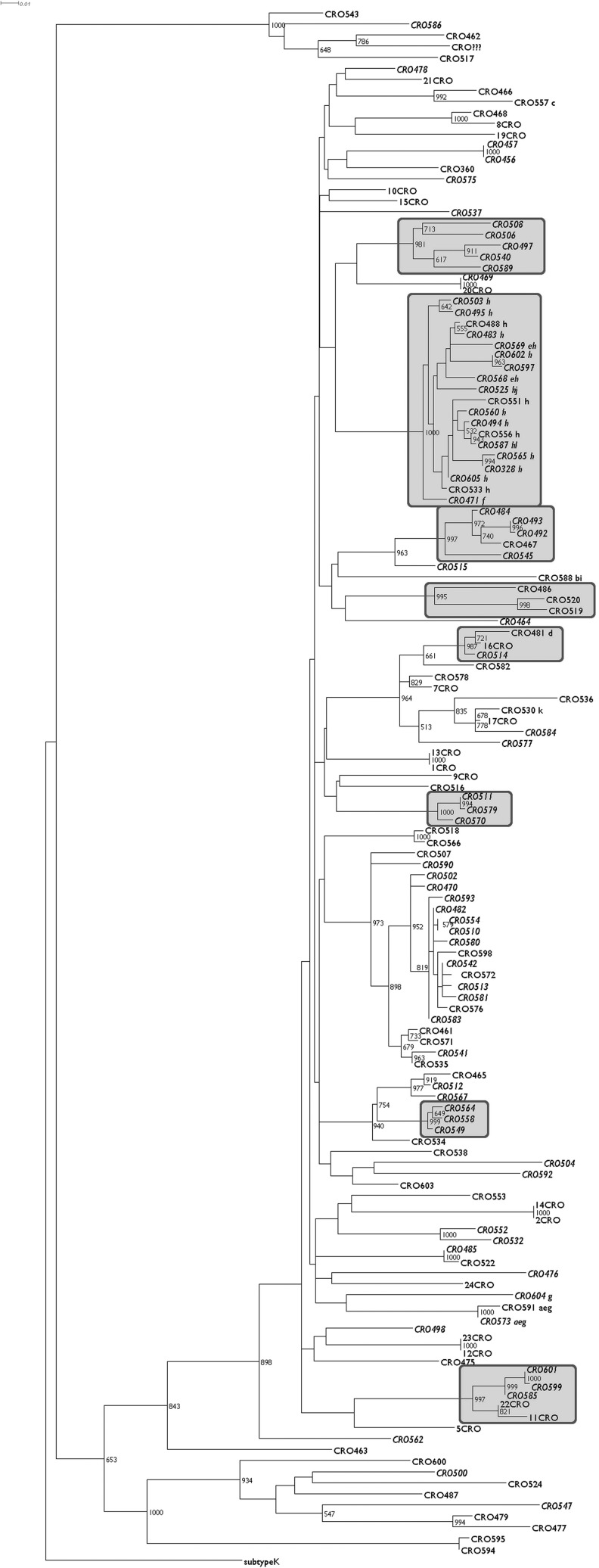 FIG. 1.