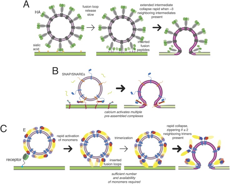 Figure 10.