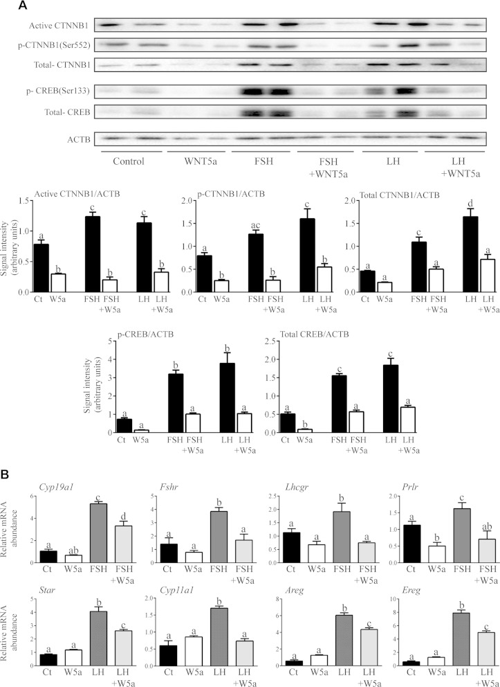 Figure 10.