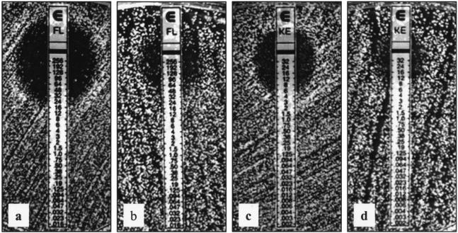 FIG. 4.