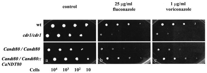 FIG. 6.