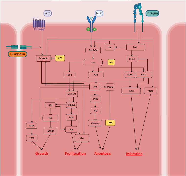 Fig 2