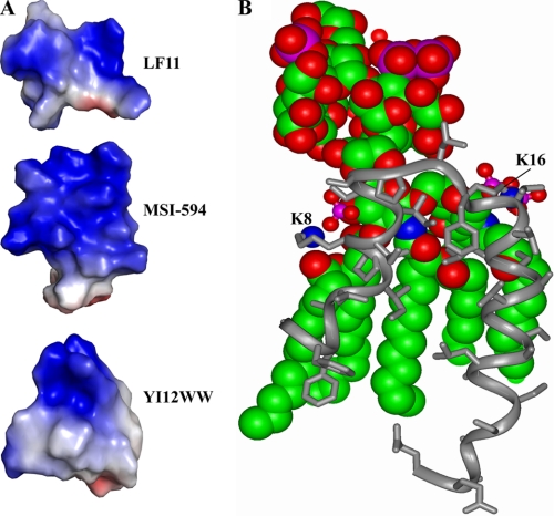 FIGURE 11.