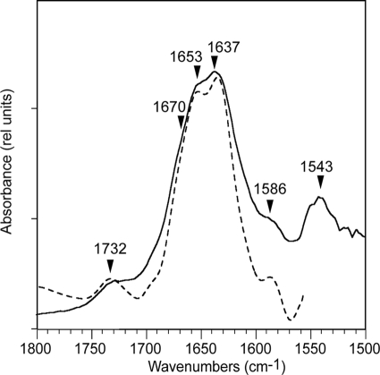 FIGURE 10.