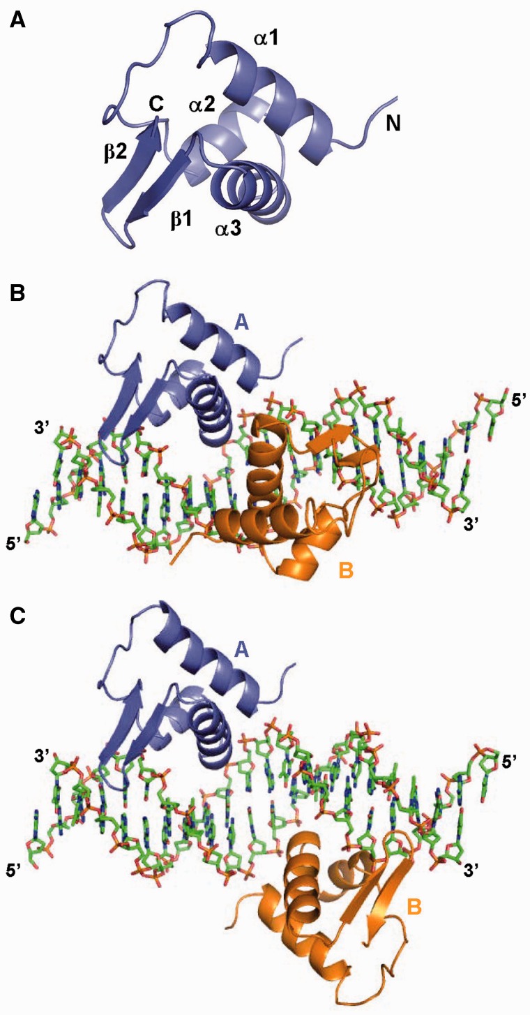 Figure 1.