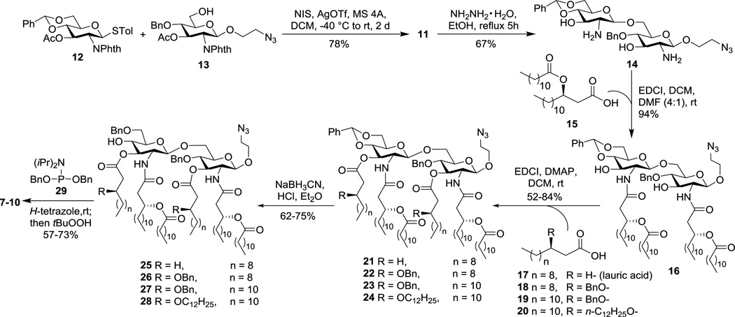 Scheme 2