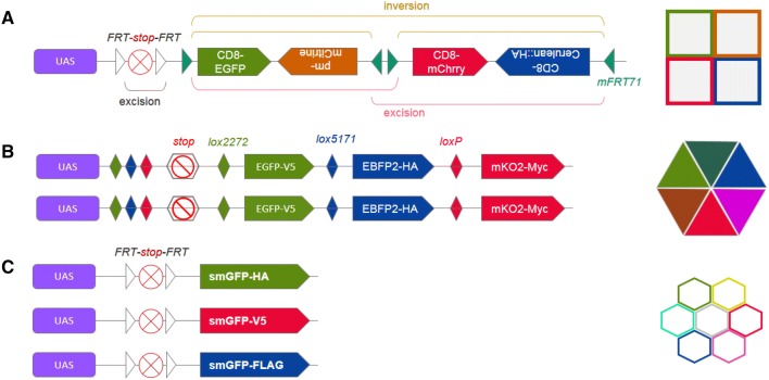 Fig. 2