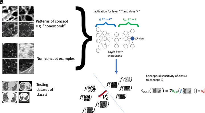 A, Testing with concept activation vectors (TCAVs) requires a set of samples characterizing the concept (eg, “honeycomb pattern,” a set of “nonconcept” examples, which are not related to the concept being studied), B, a testing dataset of the class k of interest (eg, idiopathic pulmonary fibrosis), and, C, a complex model f (eg, neural network) that one desires to interpret, and which has been trained to perform classification of these classes. D, A linear model is built from the concept and nonconcept samples using model f, by employing model f to generate classification labels for the concept and nonconcept samples. E, From the resulting linear model, separating concept from nonconcept examples (dotted line in D), its main perpendicular direction vcl (red arrow in D) can be obtained to assess the sensitivity of model f to concept C at layer l by quantifying changes to the activations of model f in the vcl direction.