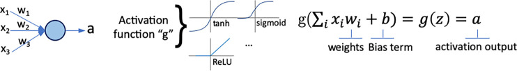 Gradient-based saliency maps for image classification. (a) Basic concepts of neuron activation. A neuron is activated via a weighted combination of inputs and application of an activation function, g. (b) Gradient-based methods rely on a forward and a backward pass. Given an input image x, a class k is maximally activated through forward passing throughout all layers of the network. All positive forward activations are recorded for later use during the backward pass. To visualize the contribution of pixels in the image to the class k, all activations are set to zero except for the studied class k, and then (c) backpropagation uses the chain rule to compute gradients from the output to the input of the network. ReLU = rectified linear unit, tanh = hyperbolic tangent.