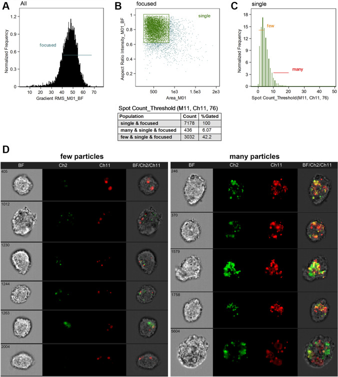 Fig. 4