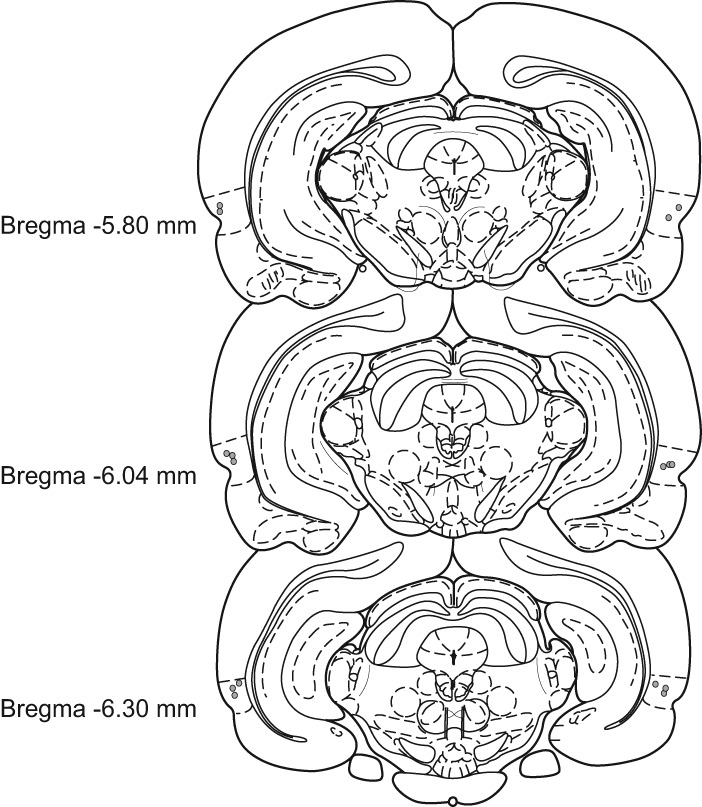 Figure 7.