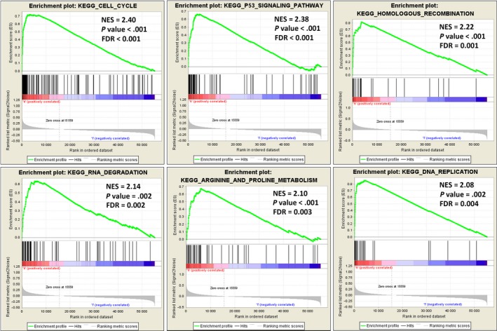 Figure 6