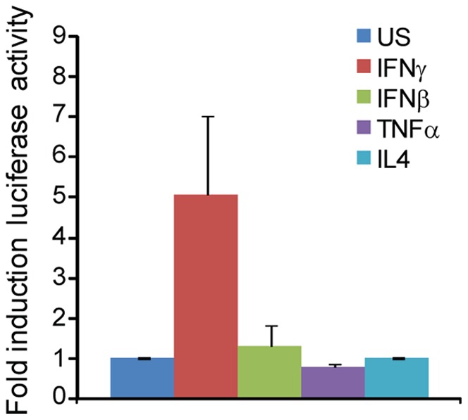 Figure 4