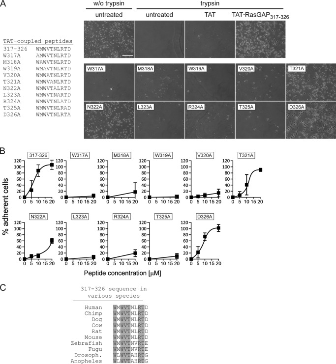 FIGURE 1.