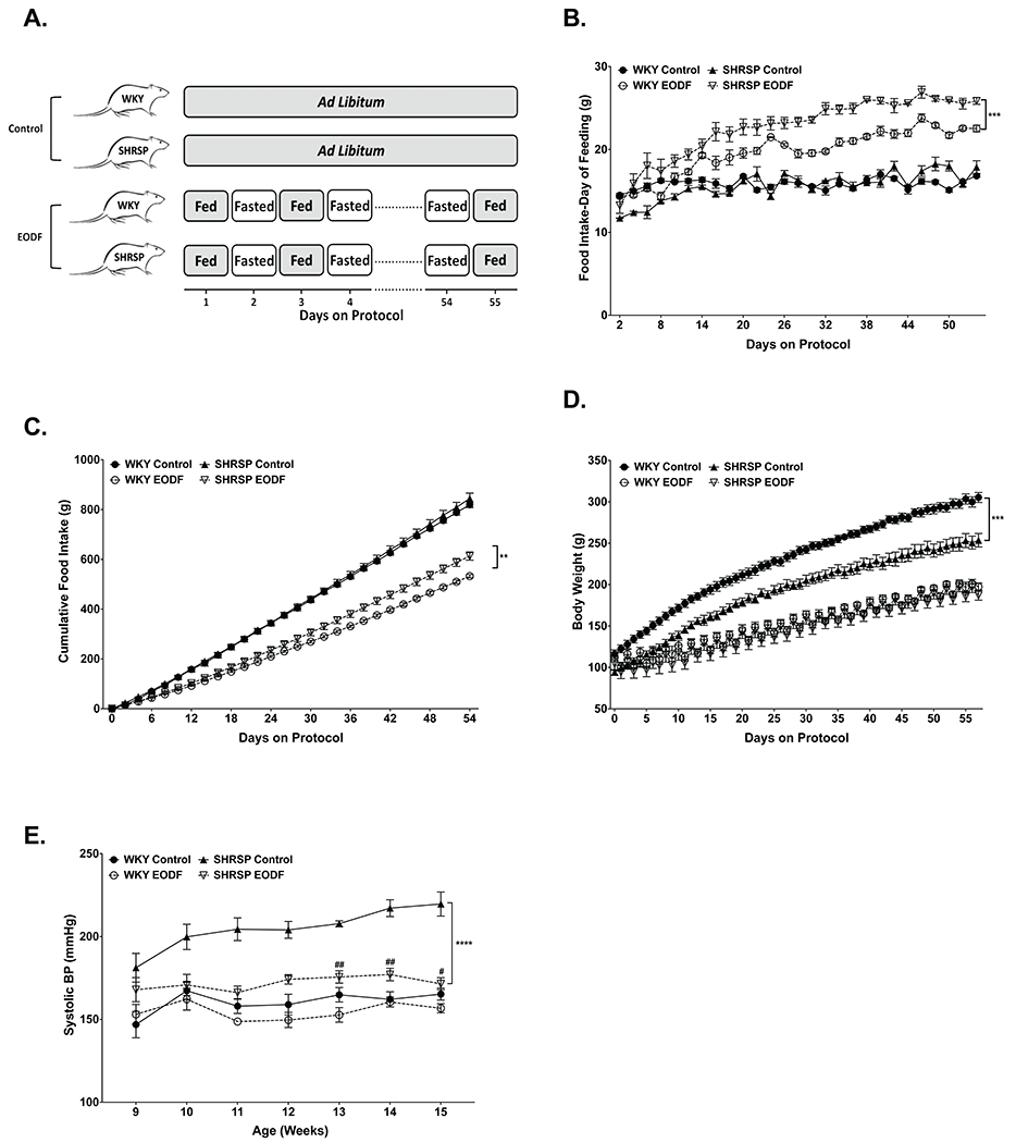 Figure. 1