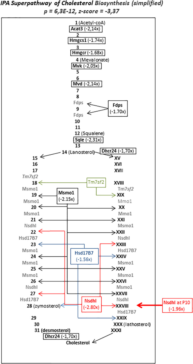 FIGURE 7