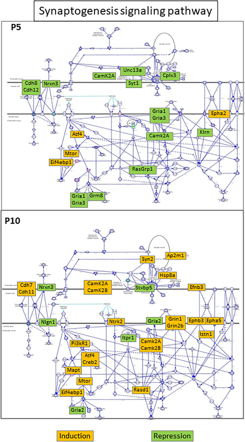 FIGURE 6