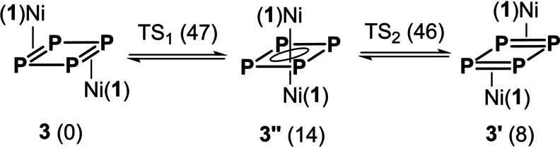 Scheme 2