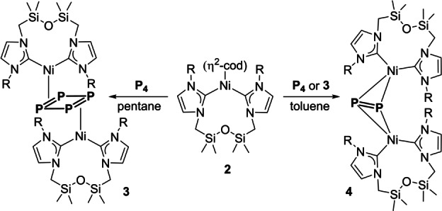 Scheme 1