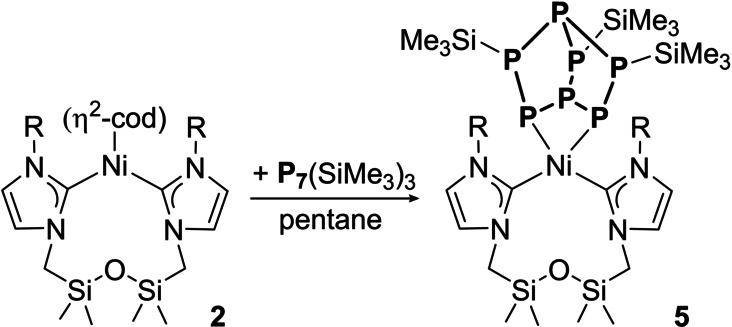 Scheme 3