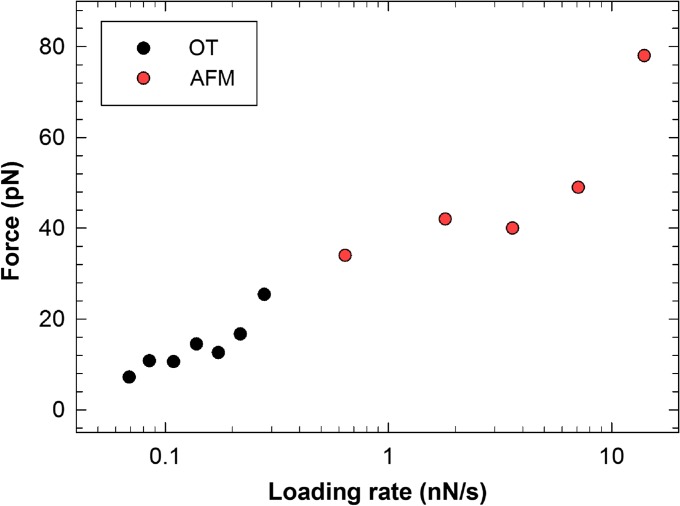 Fig. 7.