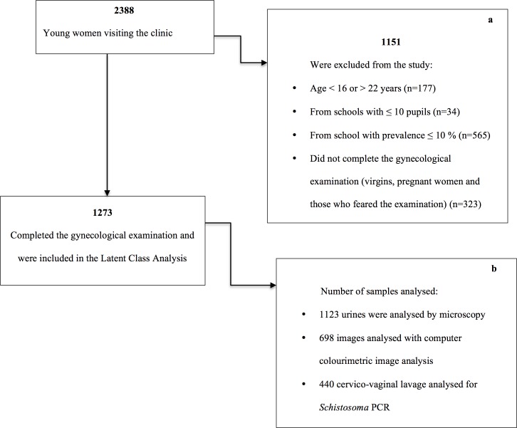 Fig 1