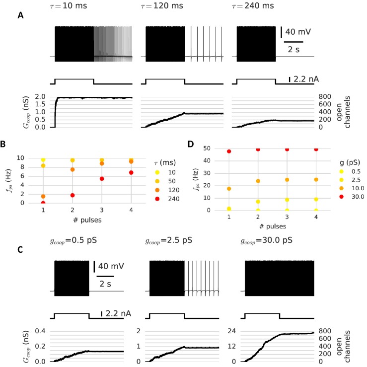 Figure 5—figure supplement 1.