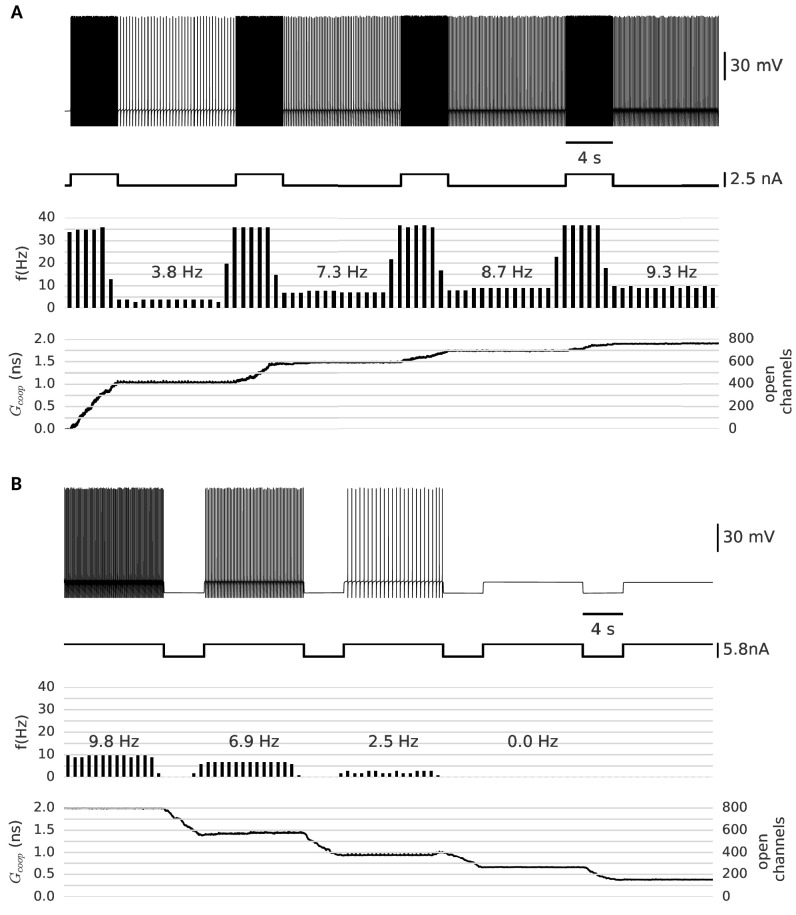 Figure 5.