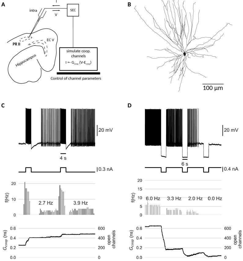 Figure 6.