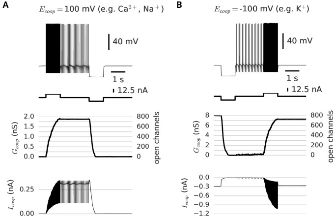 Figure 4—figure supplement 1.