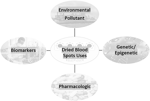 Figure 1: