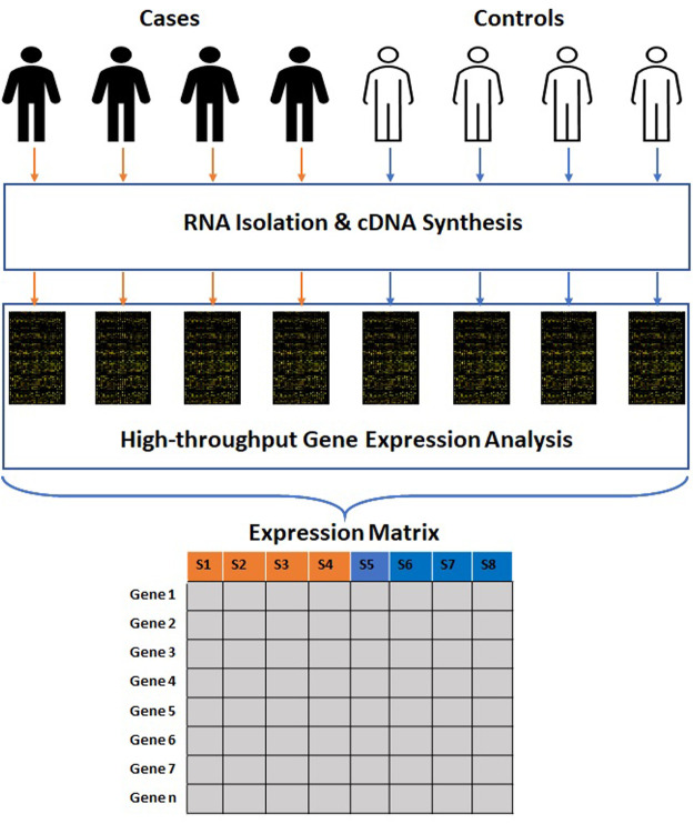 FIGURE 1