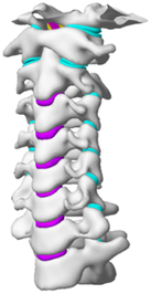 graphic file with name js9-111-1042-i042.jpg