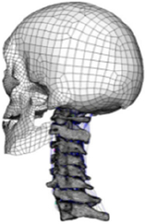 graphic file with name js9-111-1042-i024.jpg