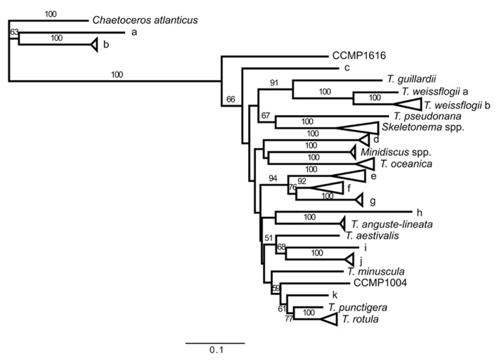 FIGURE 2