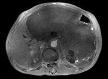 Fig. 2: