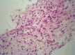 Fig. 4: