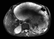 Fig. 3: