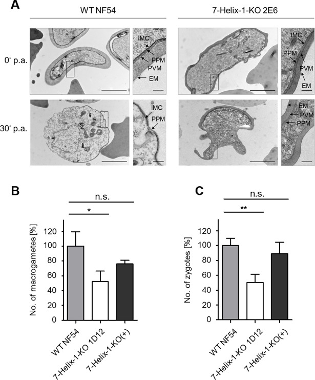 Fig 4