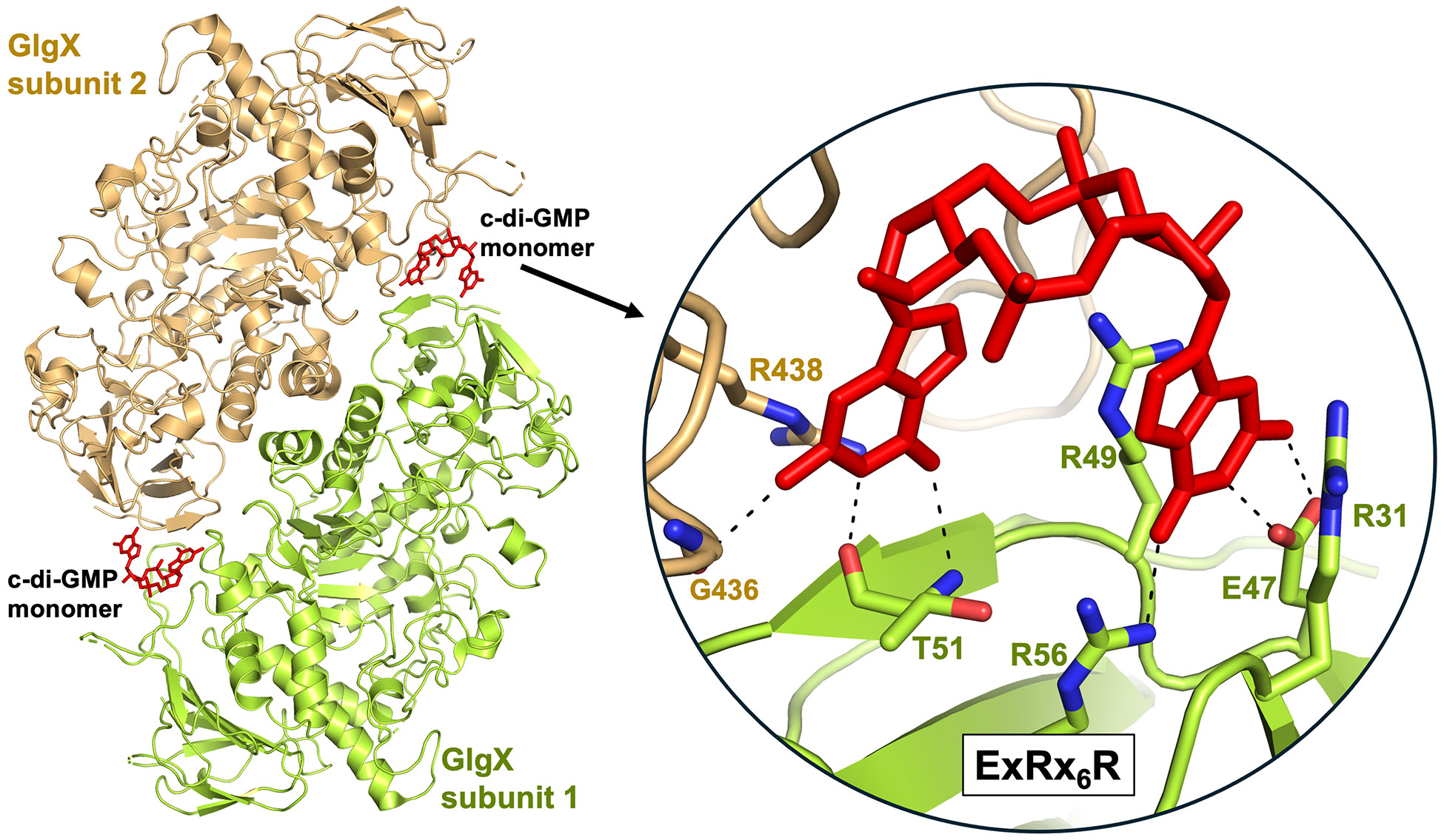 Figure 4.