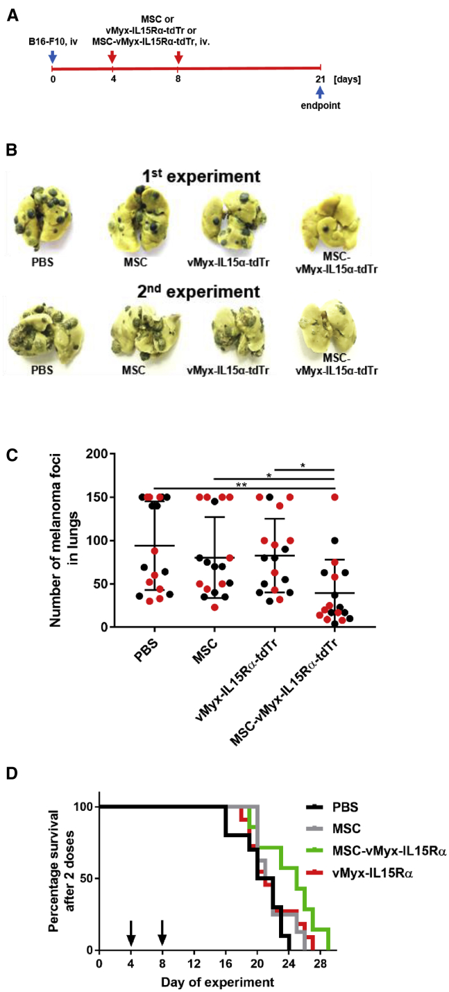 Figure 6