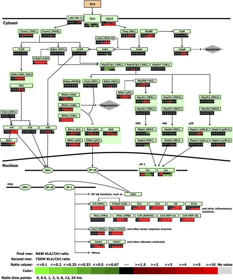 Fig. 3.