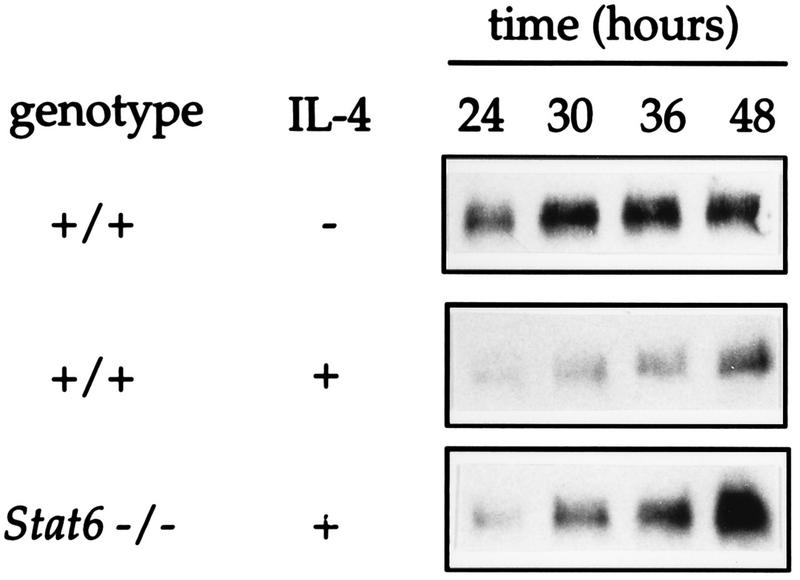 FIG. 8