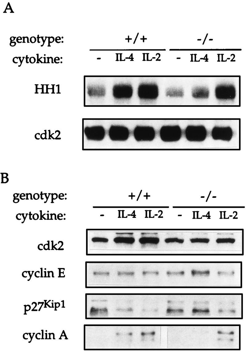 FIG. 5