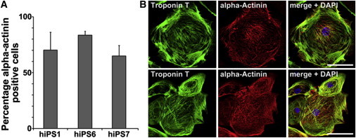 Figure 3