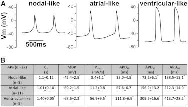 Figure 4