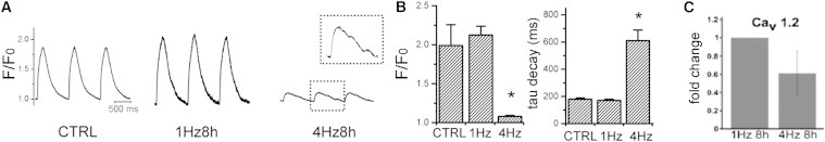 Figure 7