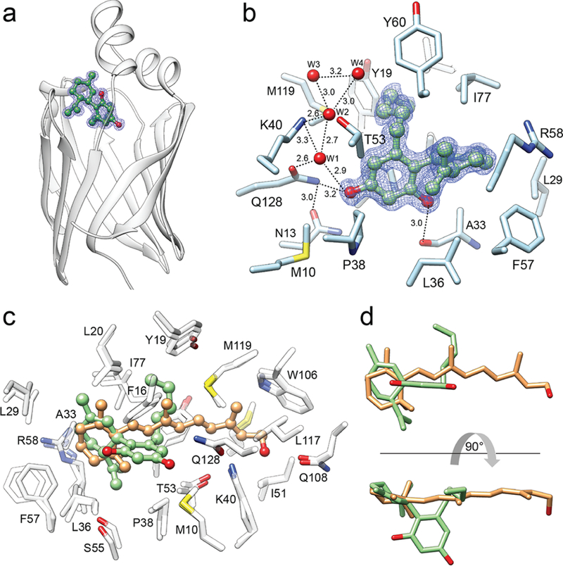 Figure 4.