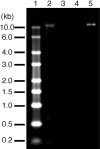 FIG. 3.